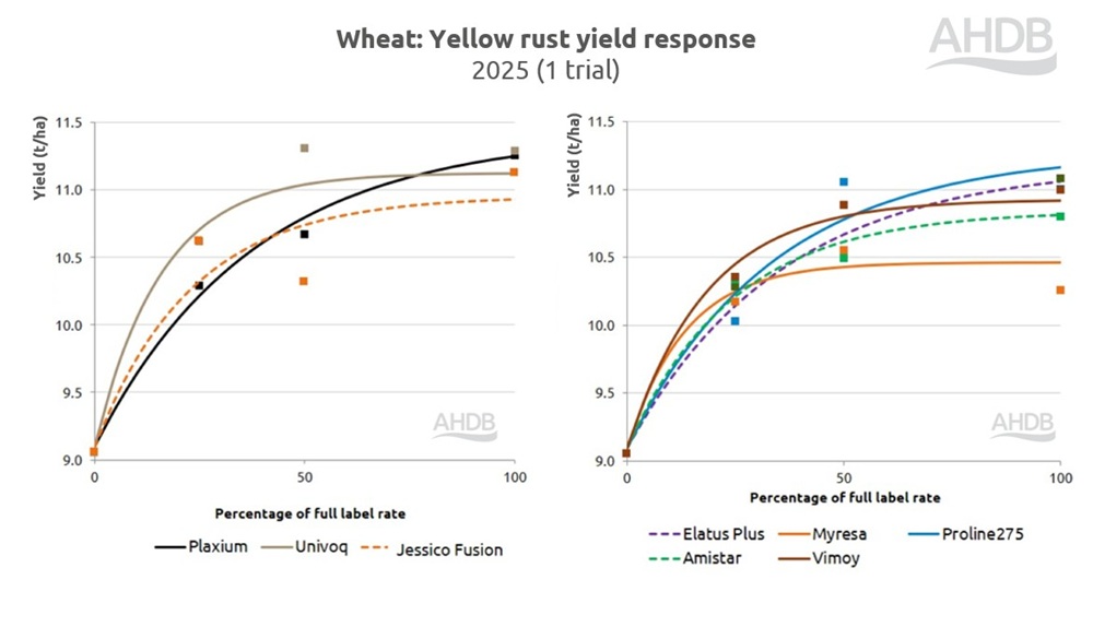 Wheat yellow rust yield response to fungicides chart 2025.